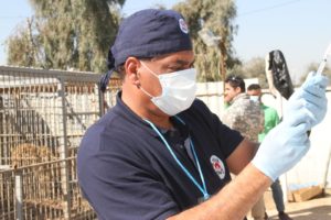 Mossul Zoo, Iraq, 02 2017