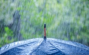 rain52