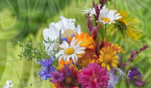 boquet