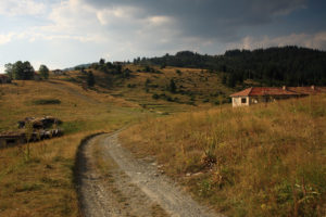 село