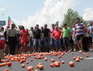 зеленч.протест 1