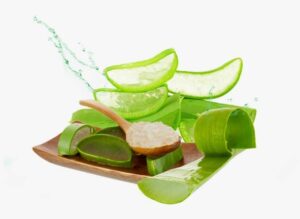 aloe-png-photos-aloe-vera-gel-png