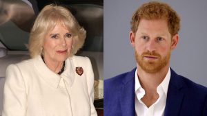 harry camilla